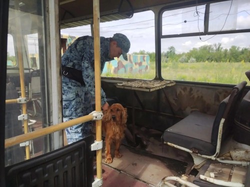 В Оренбуржье прошли соревнования полицейских кинологов В Оренбуржье прошли соревнования полицейских кинологов
