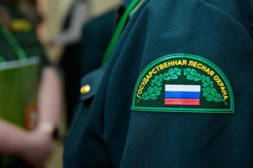 В лесном фонде Оренбуржья продолжает действовать пожароопасный сезон