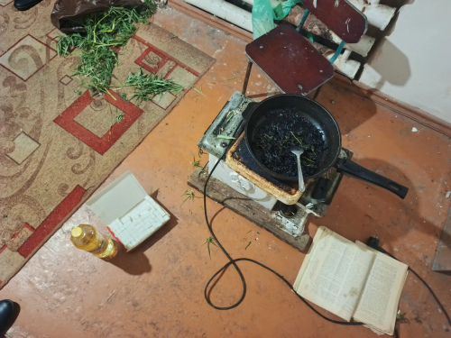 В Адамовском районе у ранее судимого мужчины изъяли наркотики растительного происхождения
