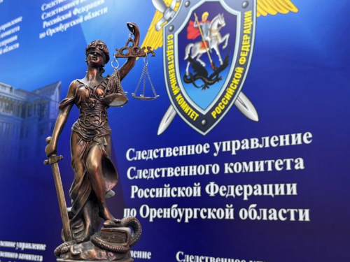 Оренбурженка осуждена на 8 лет за убийство мужа ножом во время ссоры