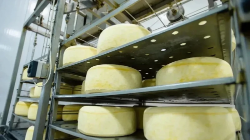 Экспорт агропродукции Оренбуржья демонстрирует устойчивый рост